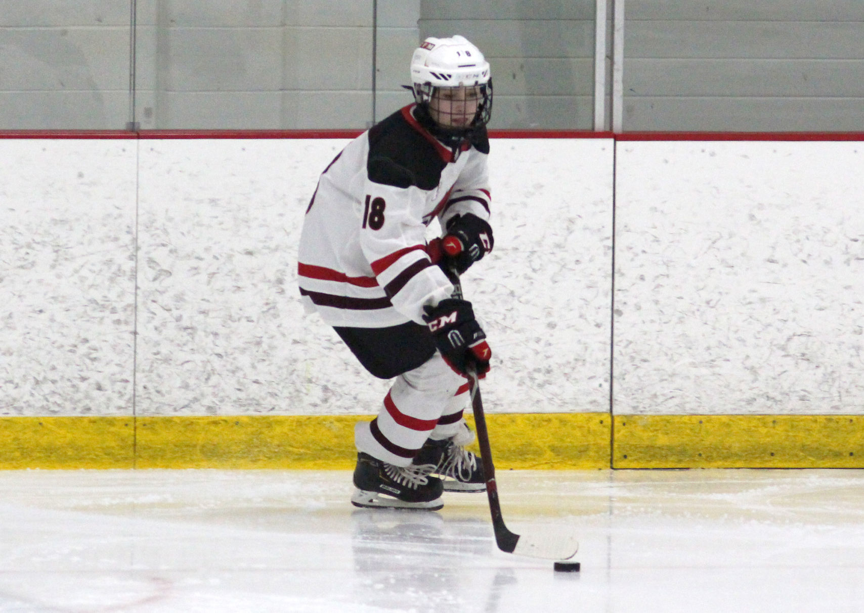 Hayward at Chippewa Falls/Menomonie girls hockey 2-20-20